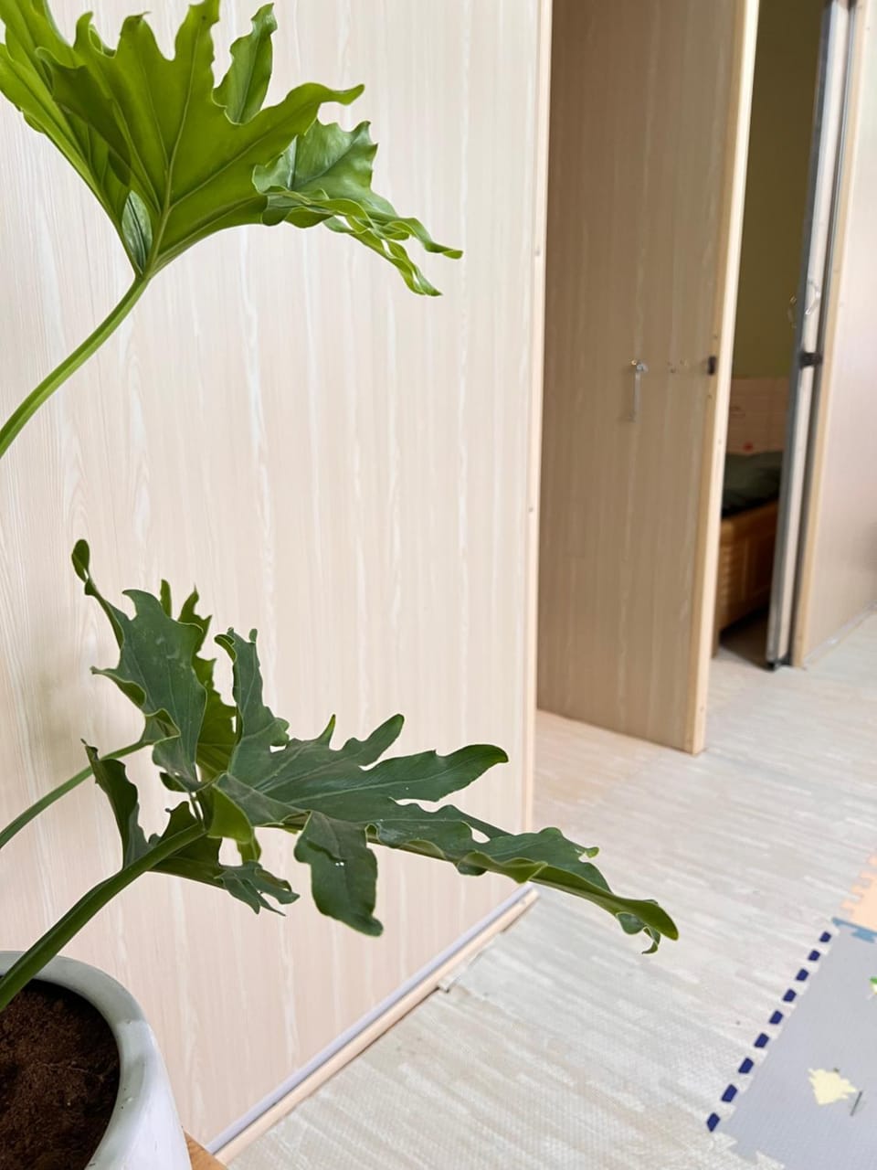 Om Yoga & Homestay Da Lat House in Dalat