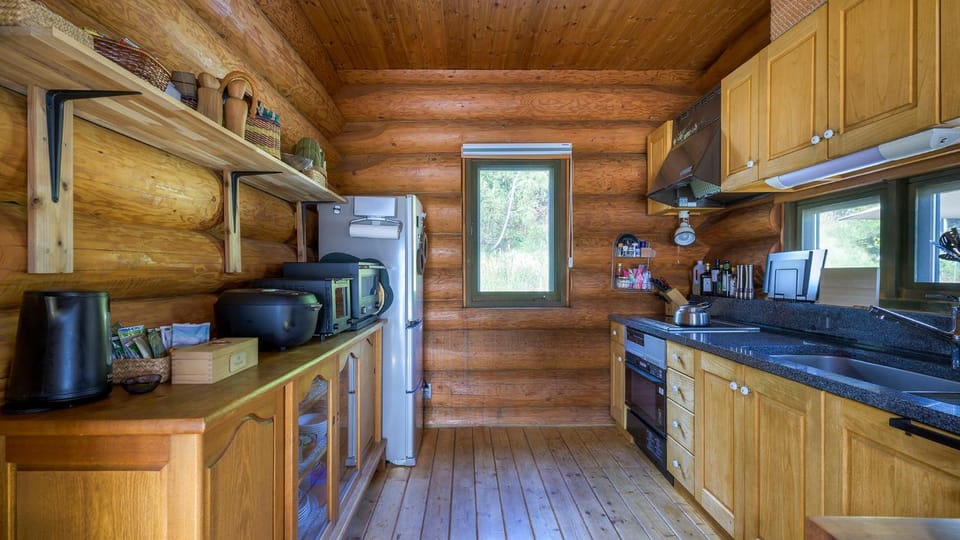 Kitchen or kitchenette, oven, stove