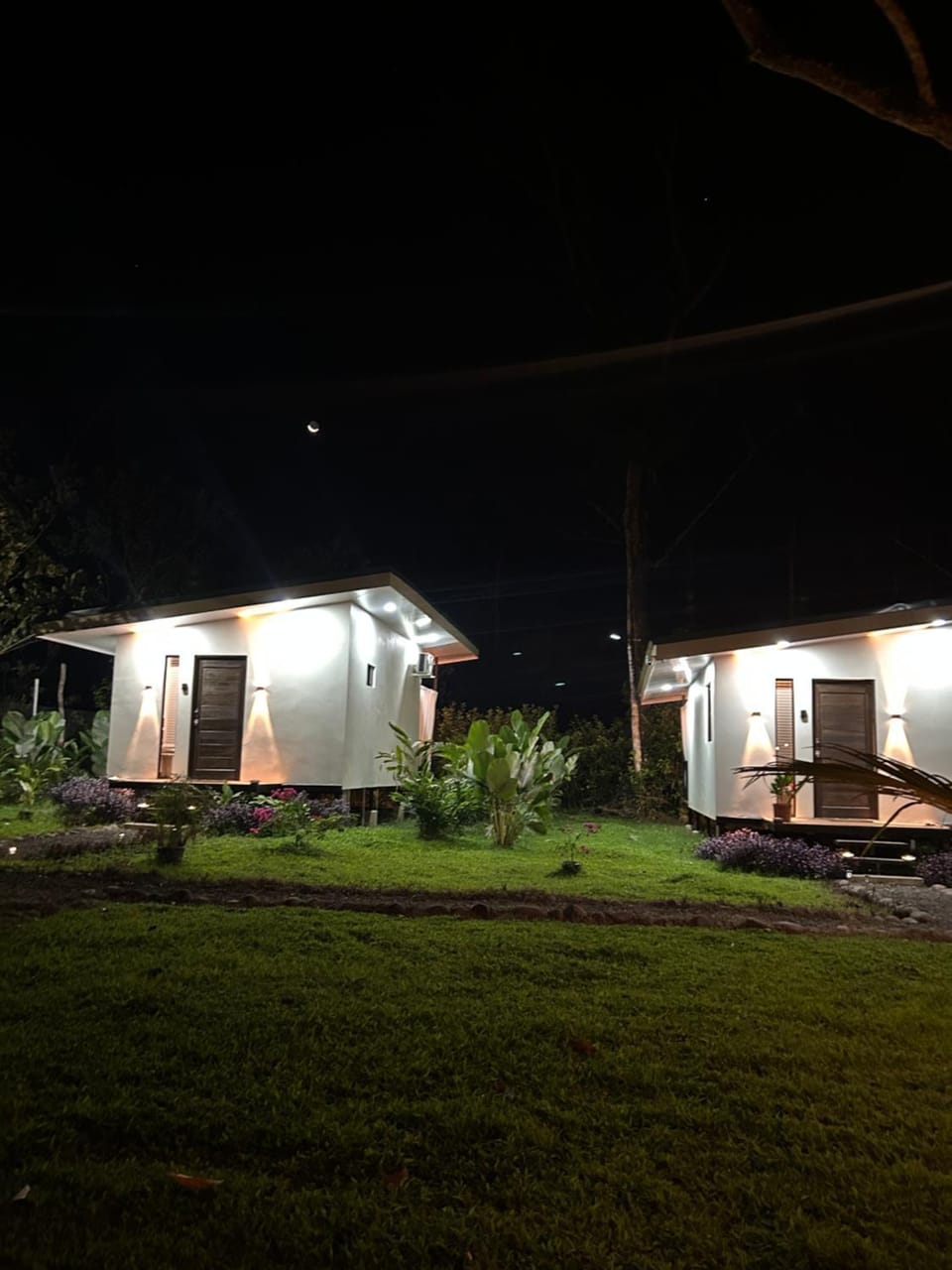 Property building, Night, Garden