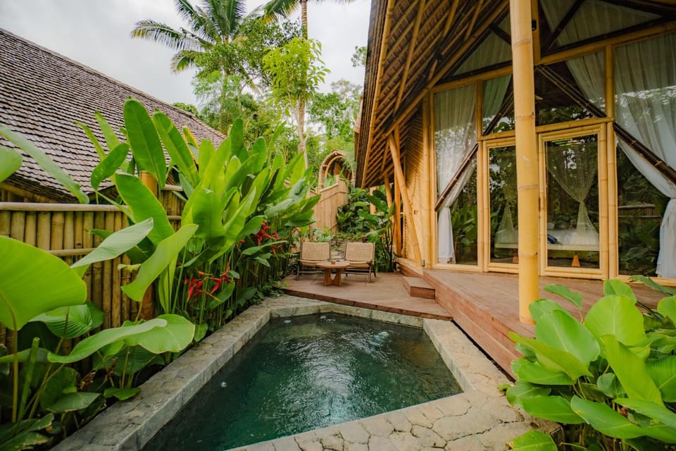 Property building, Day, Garden, Garden view, Pool view, Swimming pool, Swimming pool