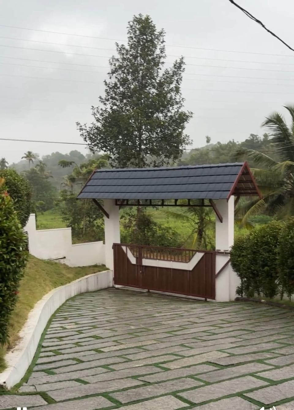 Natural landscape