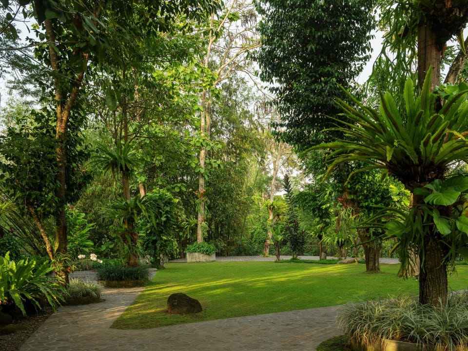 Day, Natural landscape, Garden, Garden view