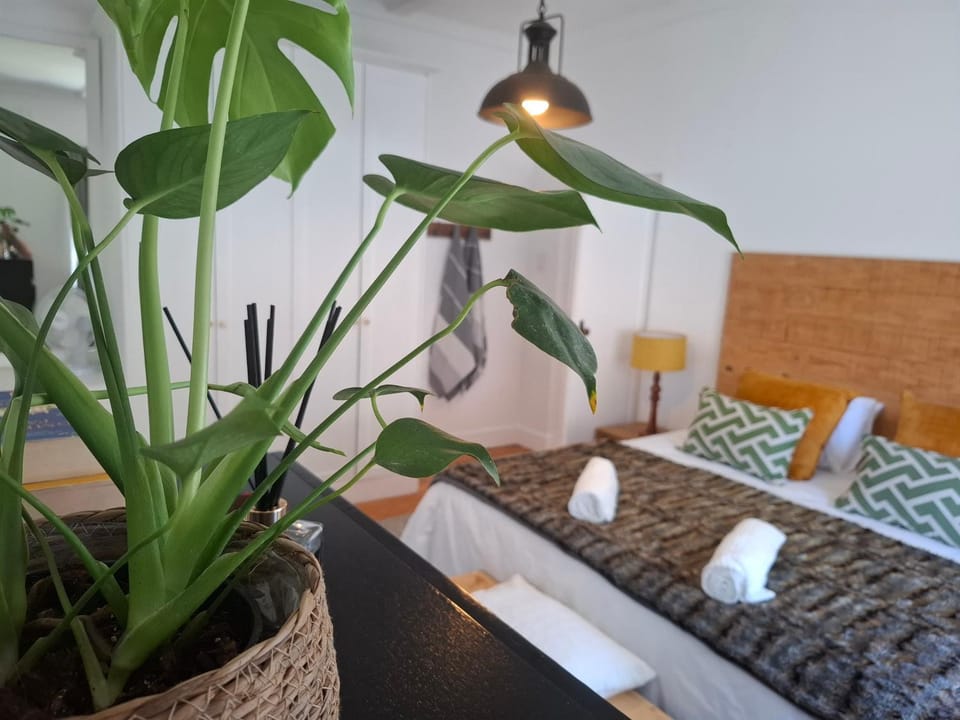 Quaint Muizenberg Stay and Private Suite House in Cape Town