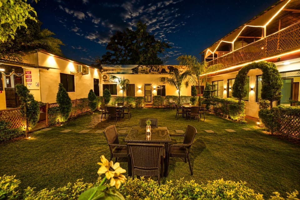 Night, Garden, Garden, Garden view, Garden view