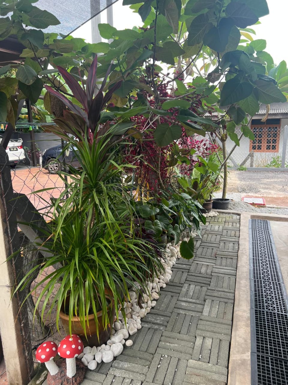 DGarden Homestay House in Terengganu, Malaysia