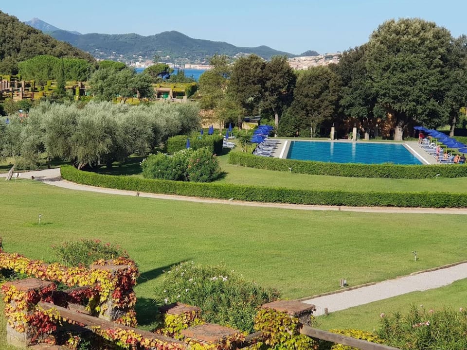Garden, Garden view, Pool view, Swimming pool