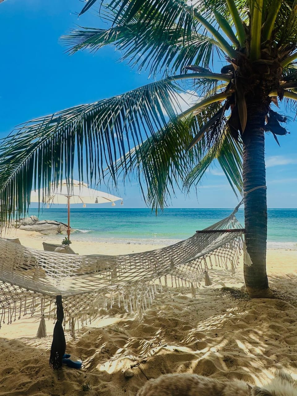 SOLEA Beach Hotel in Ko Samui