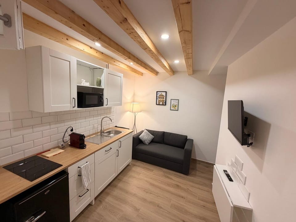 TV and multimedia, Coffee/tea facilities, Kitchen or kitchenette, Living room, microwave, minibar, stove, kitchen