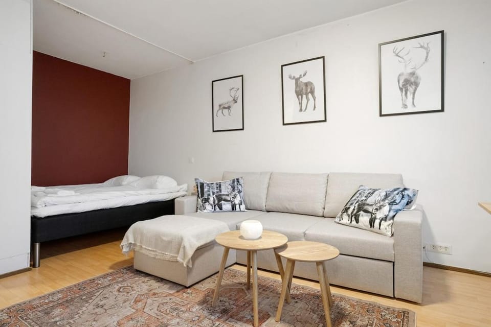 Cozy Studio, Free Parking By Lapland Host Apartment in Rovaniemi