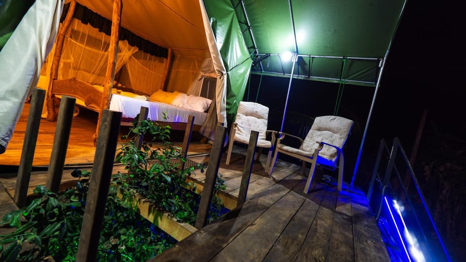 Patio, Night, Garden, View (from property/room), Balcony/Terrace, Living room, Seating area, Dining area, Garden view