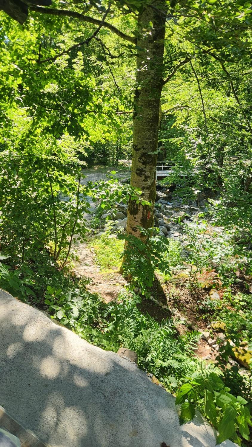 Natural landscape, River view