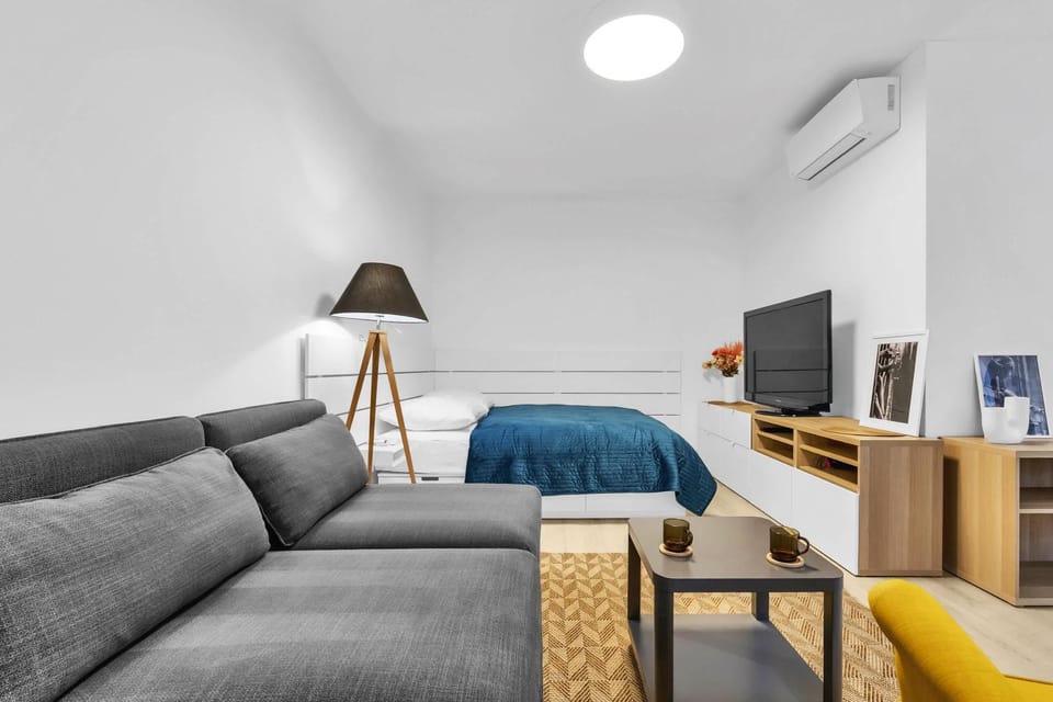 Bed, TV and multimedia, Living room, Photo of the whole room, Seating area, Evening entertainment, Bedroom, air conditioner