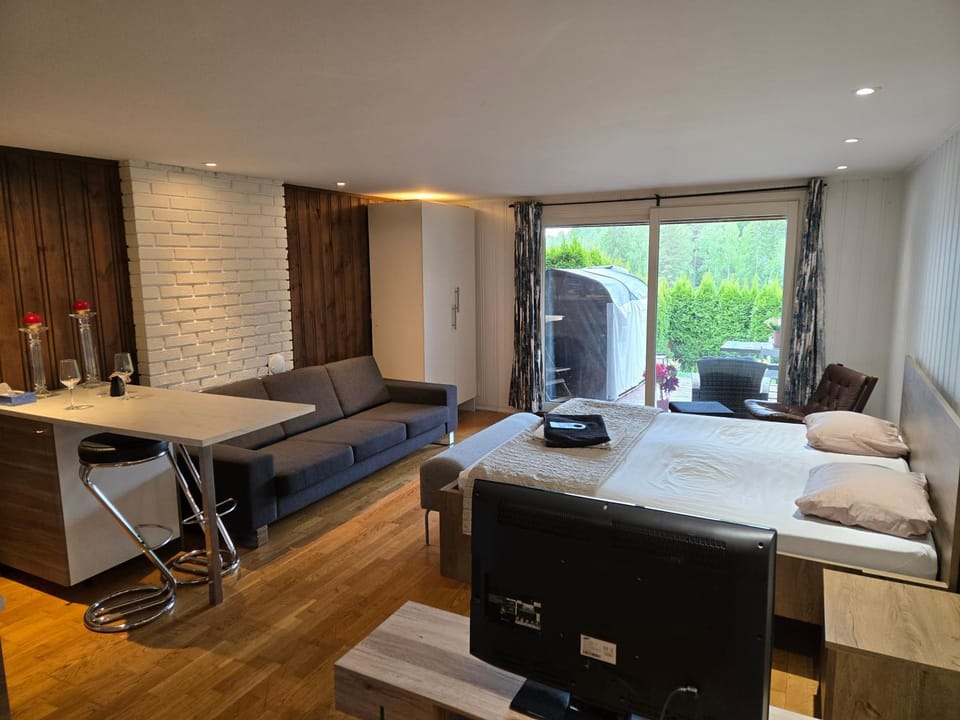 Bed, TV and multimedia, Living room, Photo of the whole room, Seating area, Dining area, Bedroom