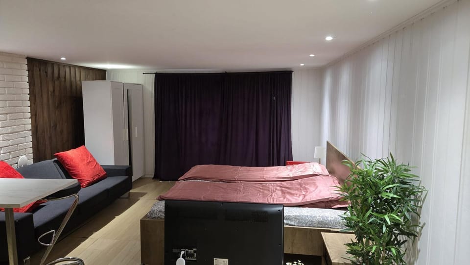 Bed, Living room, Photo of the whole room, Seating area, Bedroom