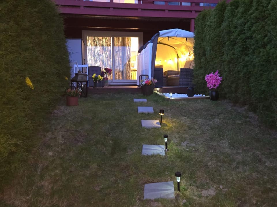 Night, Garden, Garden, Garden view