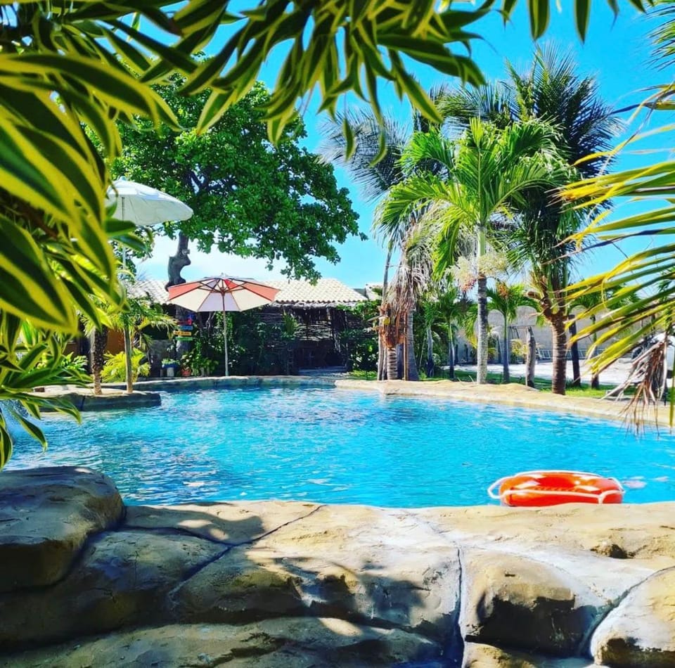 Garden, Pool view, Swimming pool