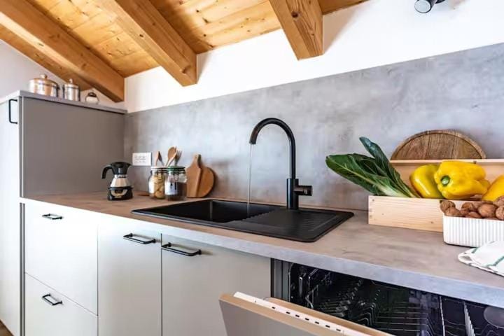 Kitchen or kitchenette, dishwasher, stove