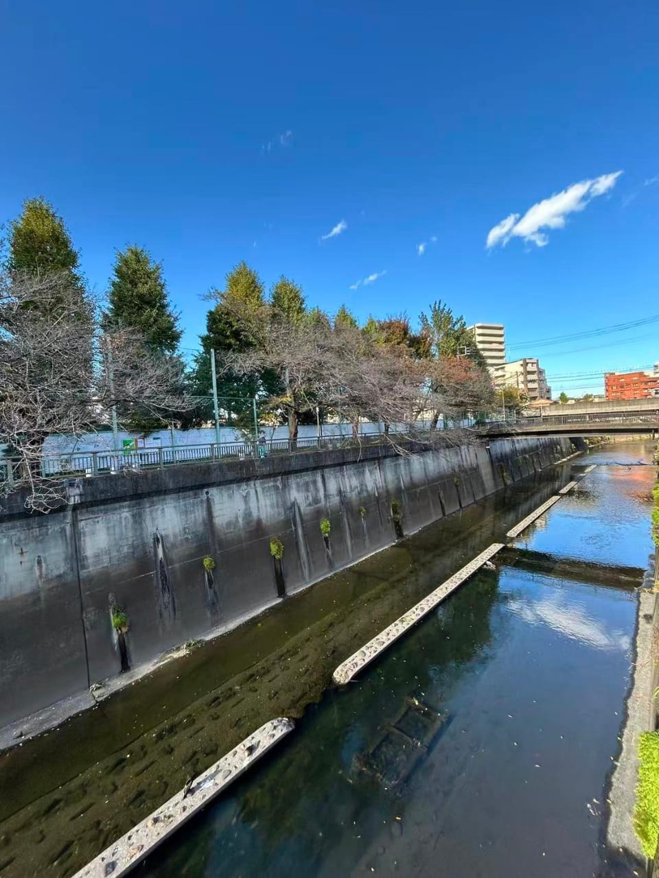 Ikebukuro# Nakaitabashi 3DK room# 5 minutes walk from station Apartment in Saitama Prefecture