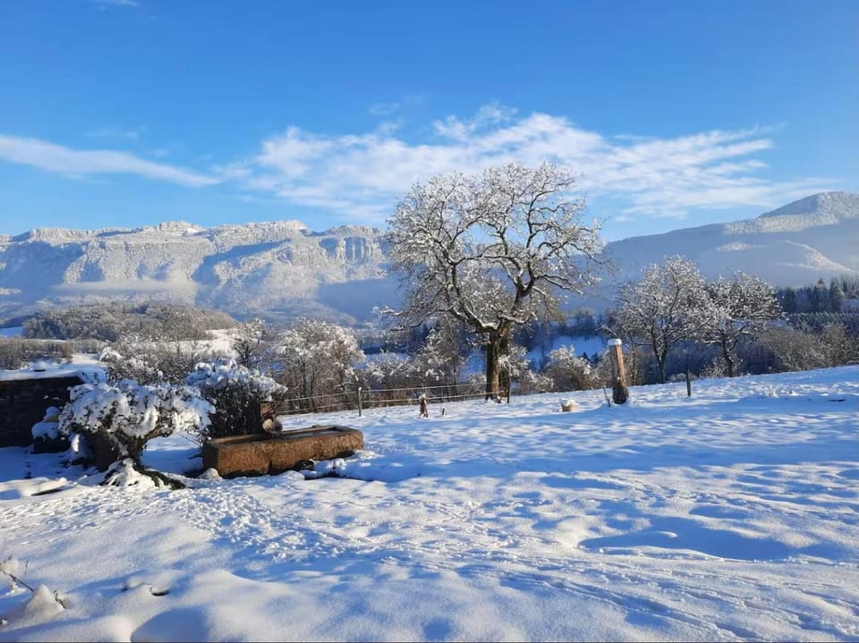 Garden view, Mountain view