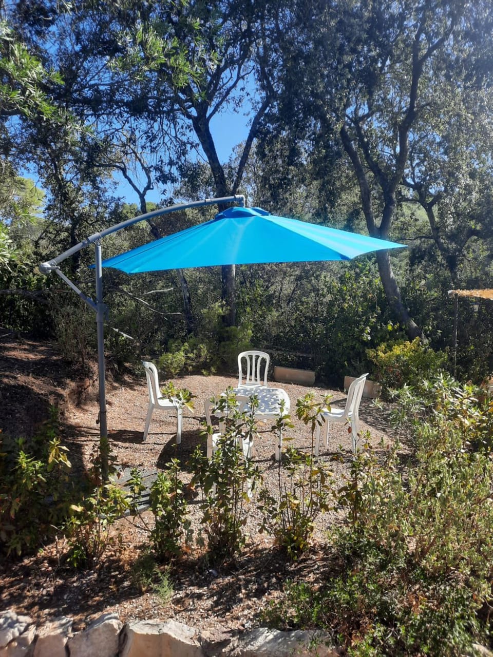 Day, Garden