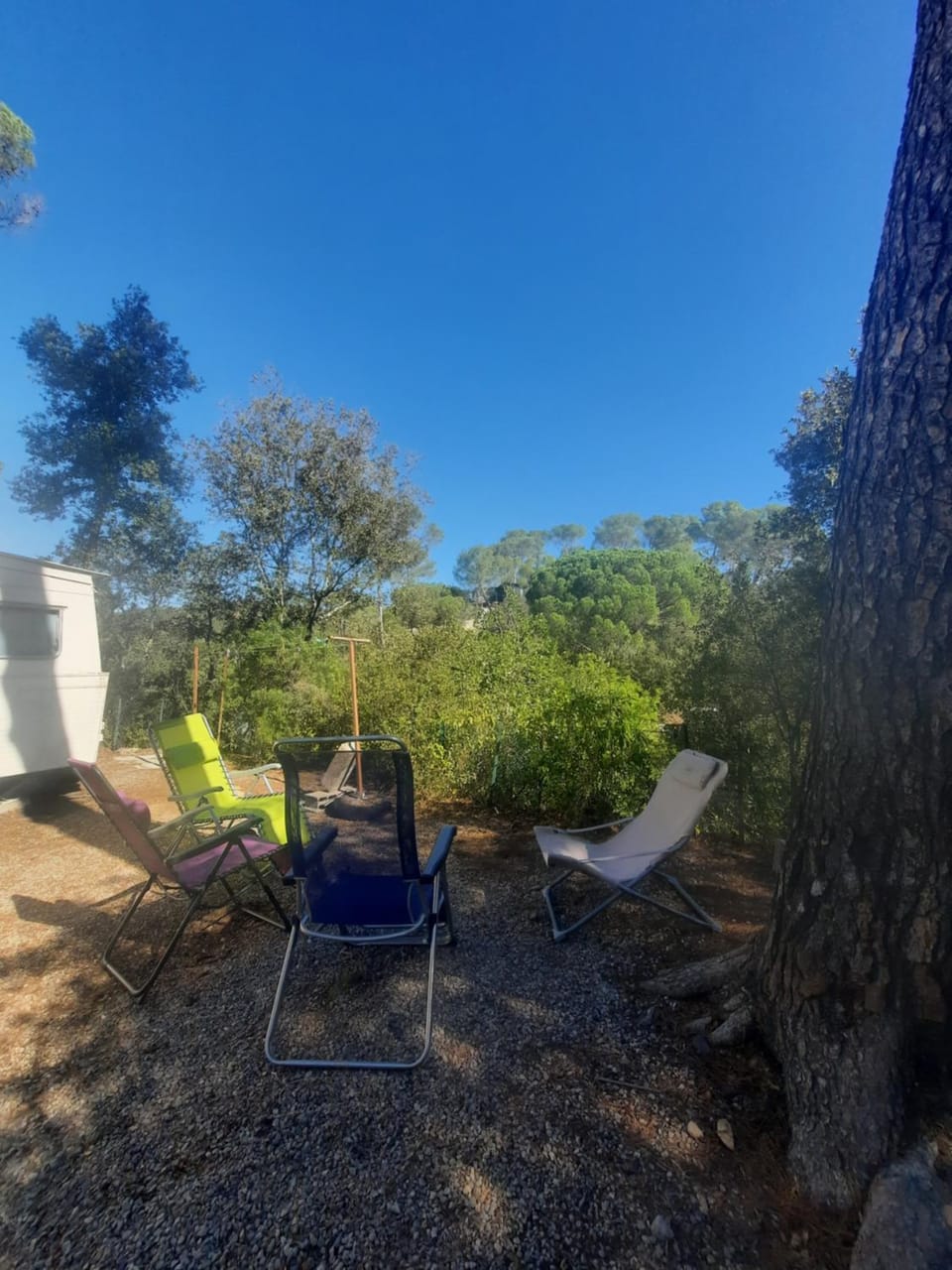 Day, Natural landscape, Garden, sunbed