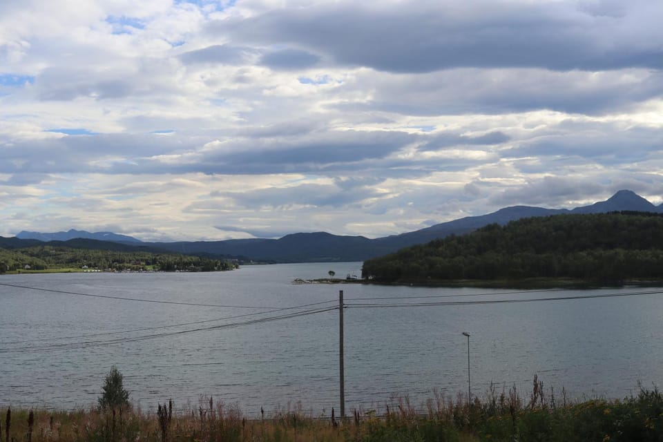 Natural landscape