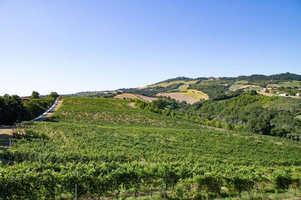 Property building, Nearby landmark, Spring, Day, Natural landscape, Mountain view