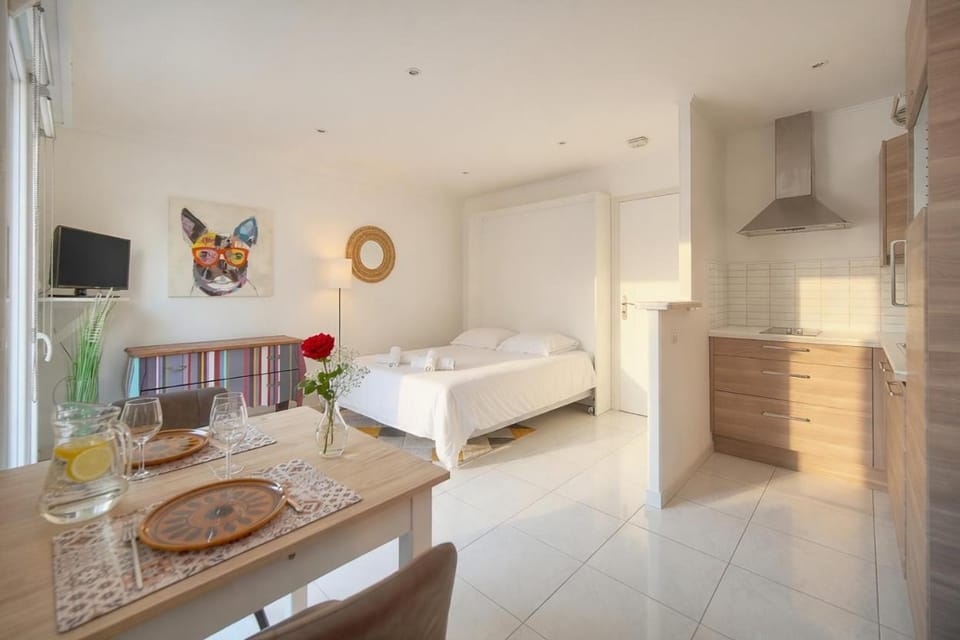 FRGK "Elegant studio CLEMENCEAU terrace WIFI HIGH-SPEED " Apartment in Cannes