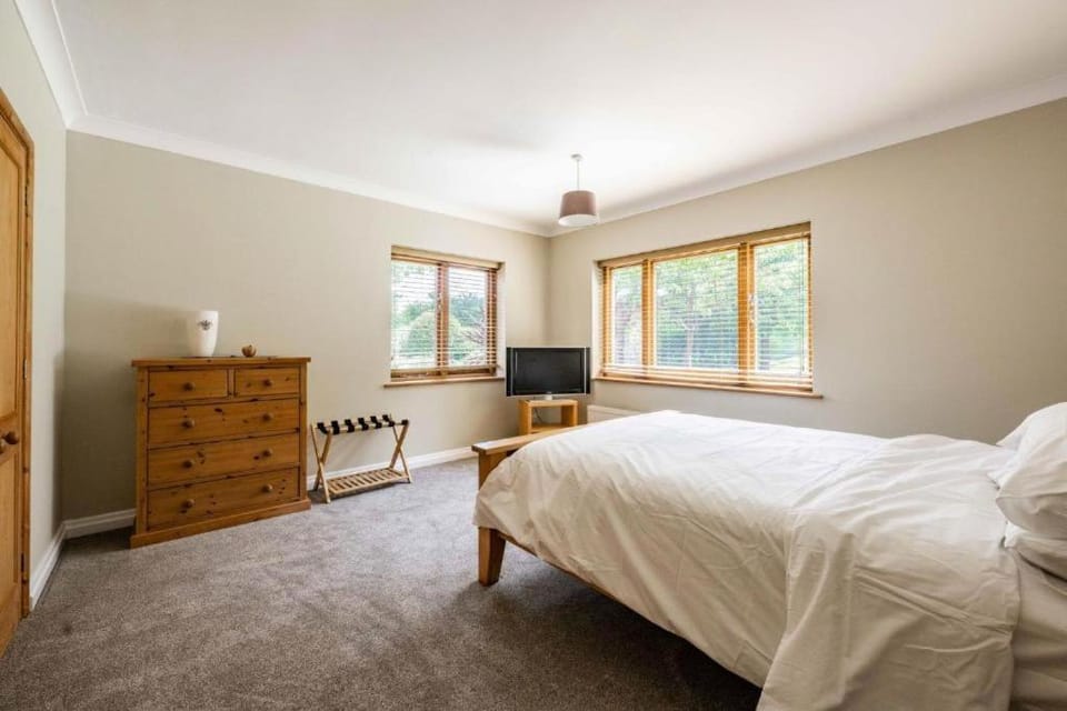 Bed, TV and multimedia, Photo of the whole room, Bedroom