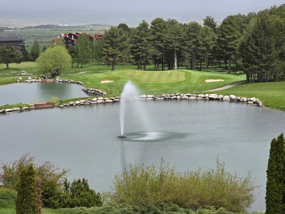 Lake view