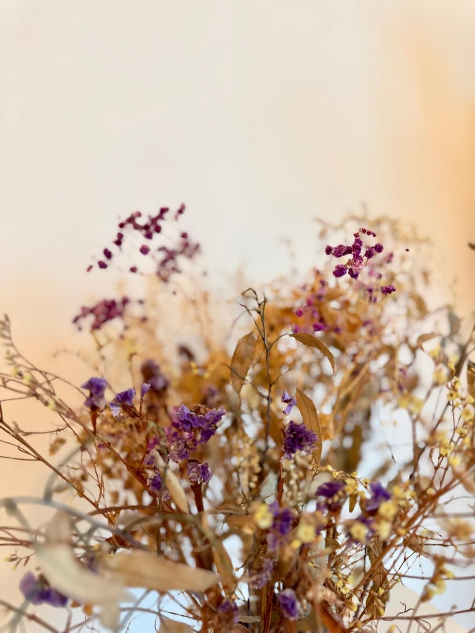 Le Gall, Centre ville de Rennes avec loggia Apartment in Rennes