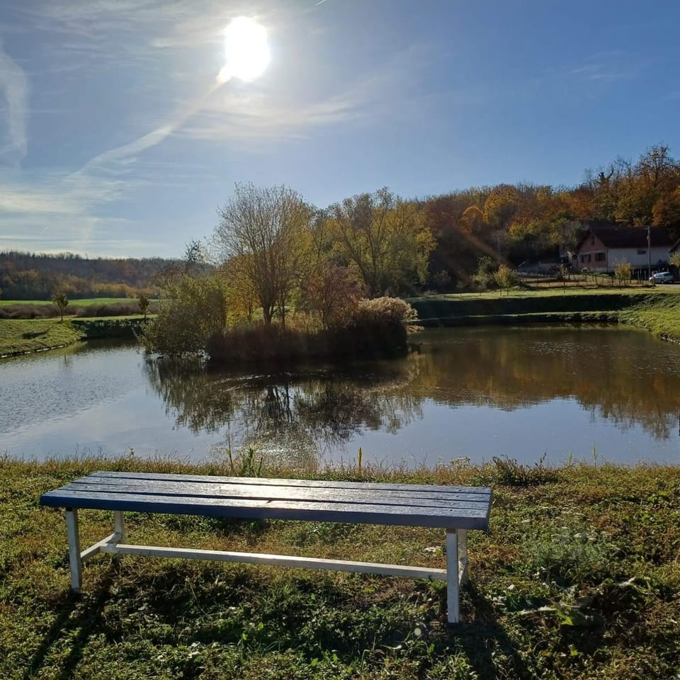 Lake view