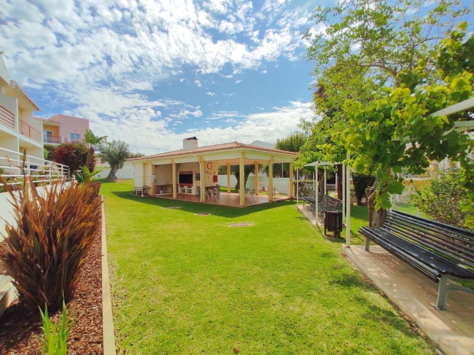 Patio, Garden, Garden view