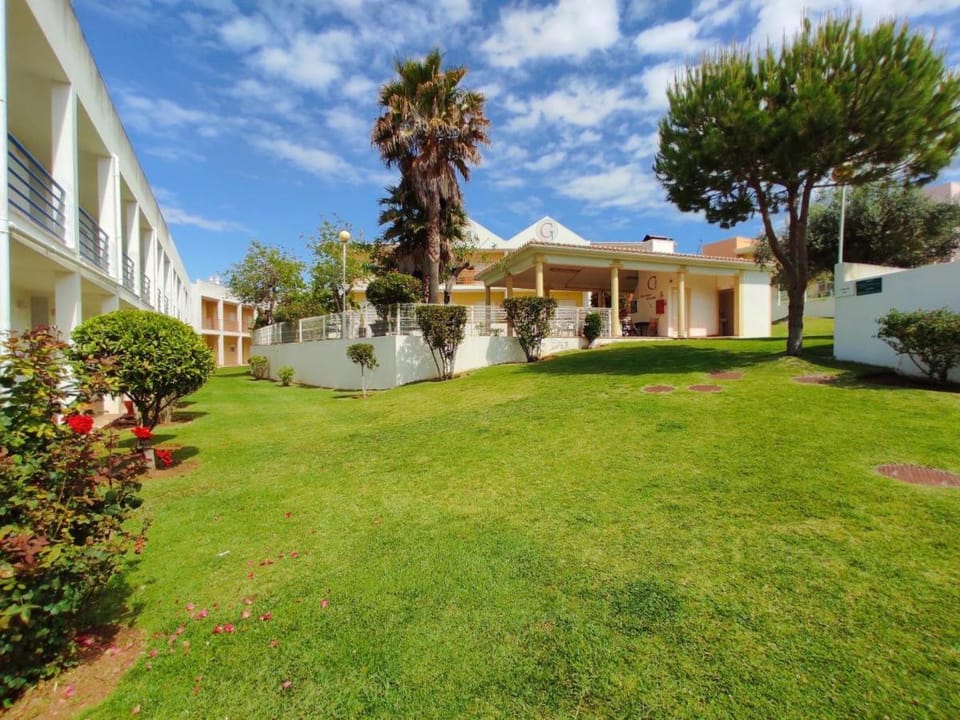 Patio, Garden, Garden view