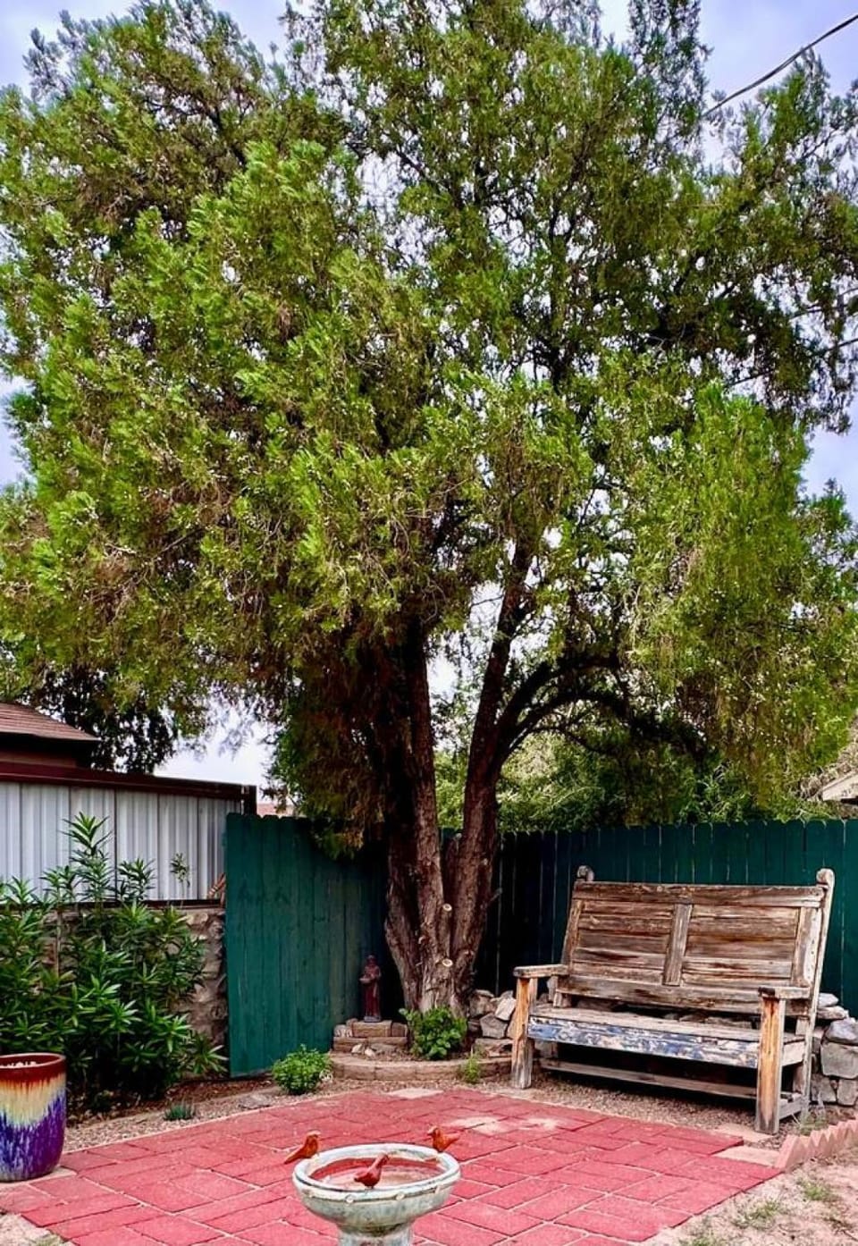 2 bedroom, large fenced yard, 3 mins from farmers market House in Las Cruces