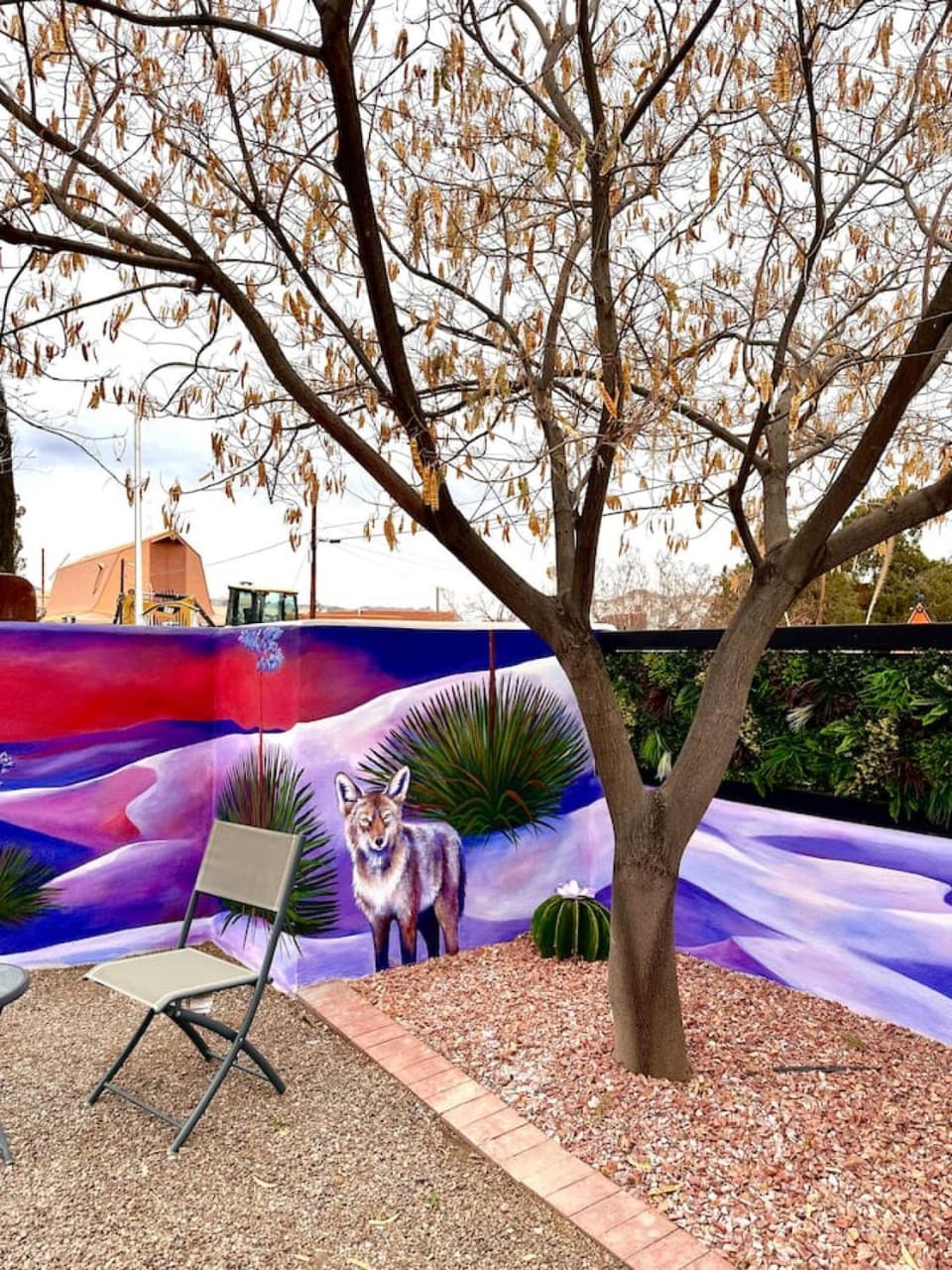 Downtown Midcentury Studio plus 3 mins to Farmers Mkt Apartment in Las Cruces