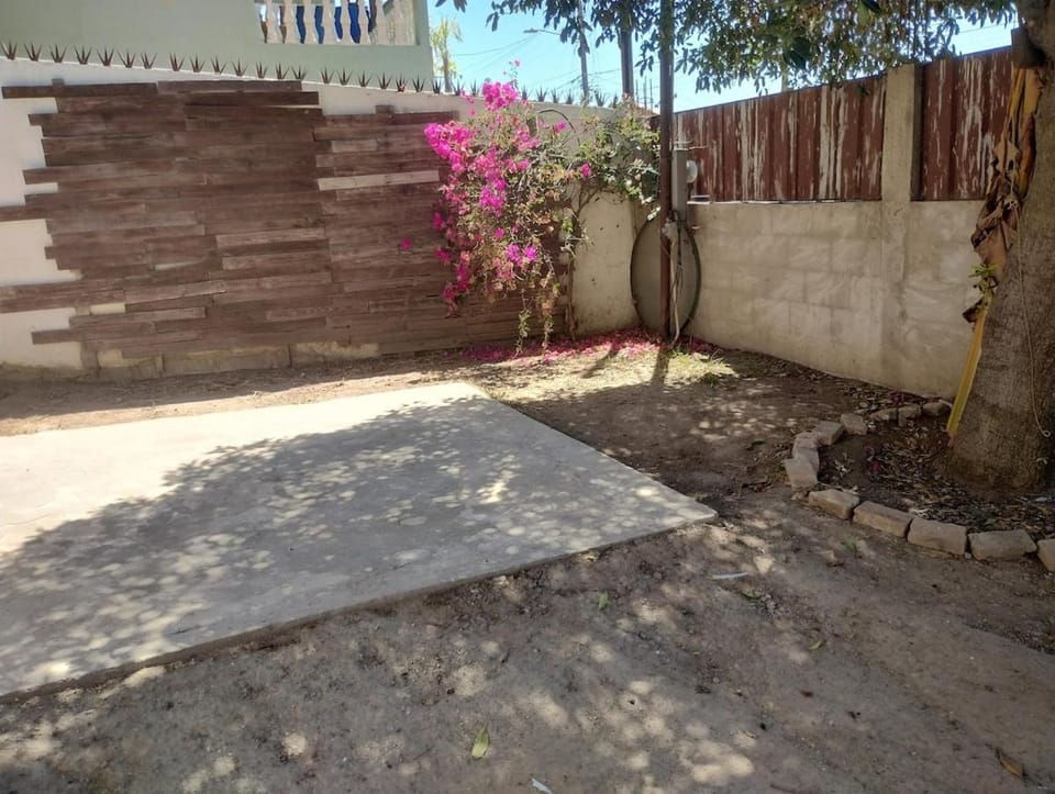 Garden, Garden view
