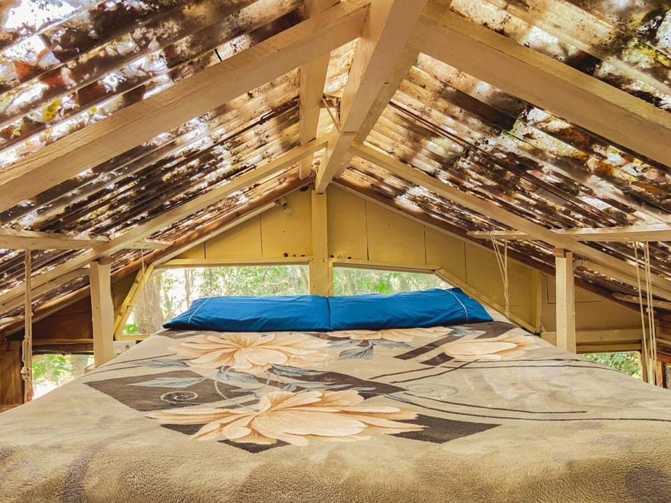 Cabana Floresta Amada Chalet in Ouro Preto