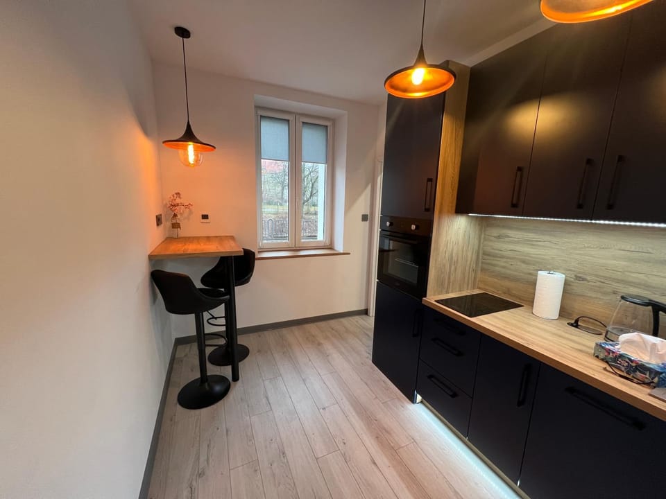 Apartament Centrum Kłodnicka Apartment in Czechia