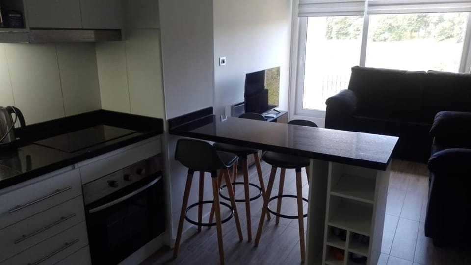 Departamento Céntrico Valdivia,Isla Teja Apartment in Valdivia