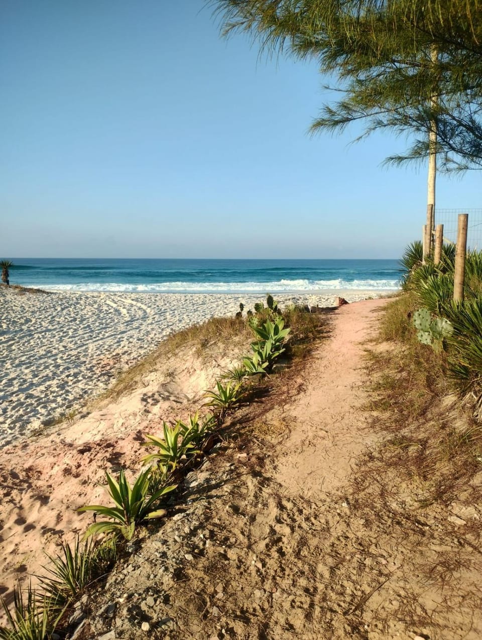 Lola House Beach House in State of Rio de Janeiro