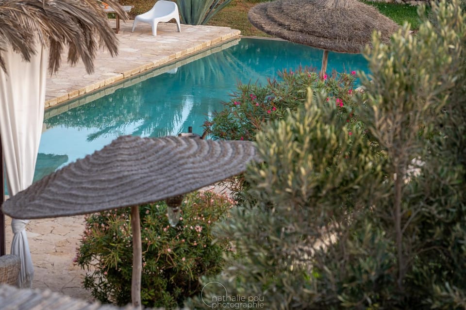 Garden, Solarium, Garden view, Swimming pool