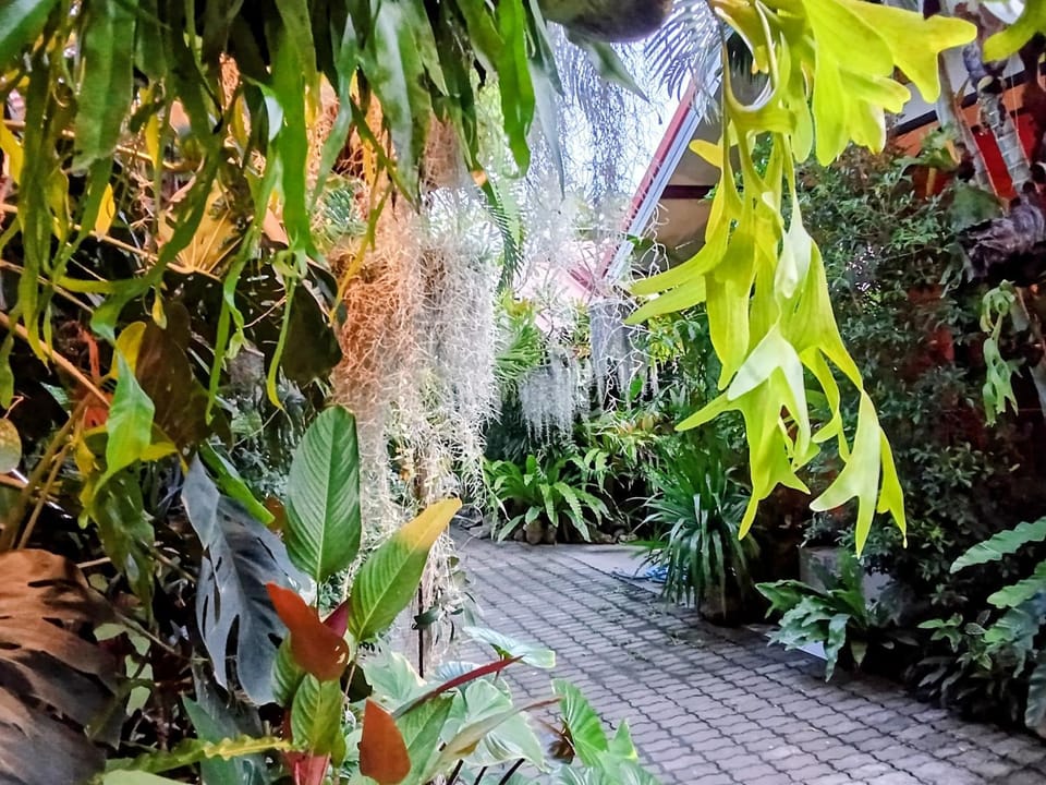 Ouychai Home stay resort Campground/ 
RV Resort in Thailand