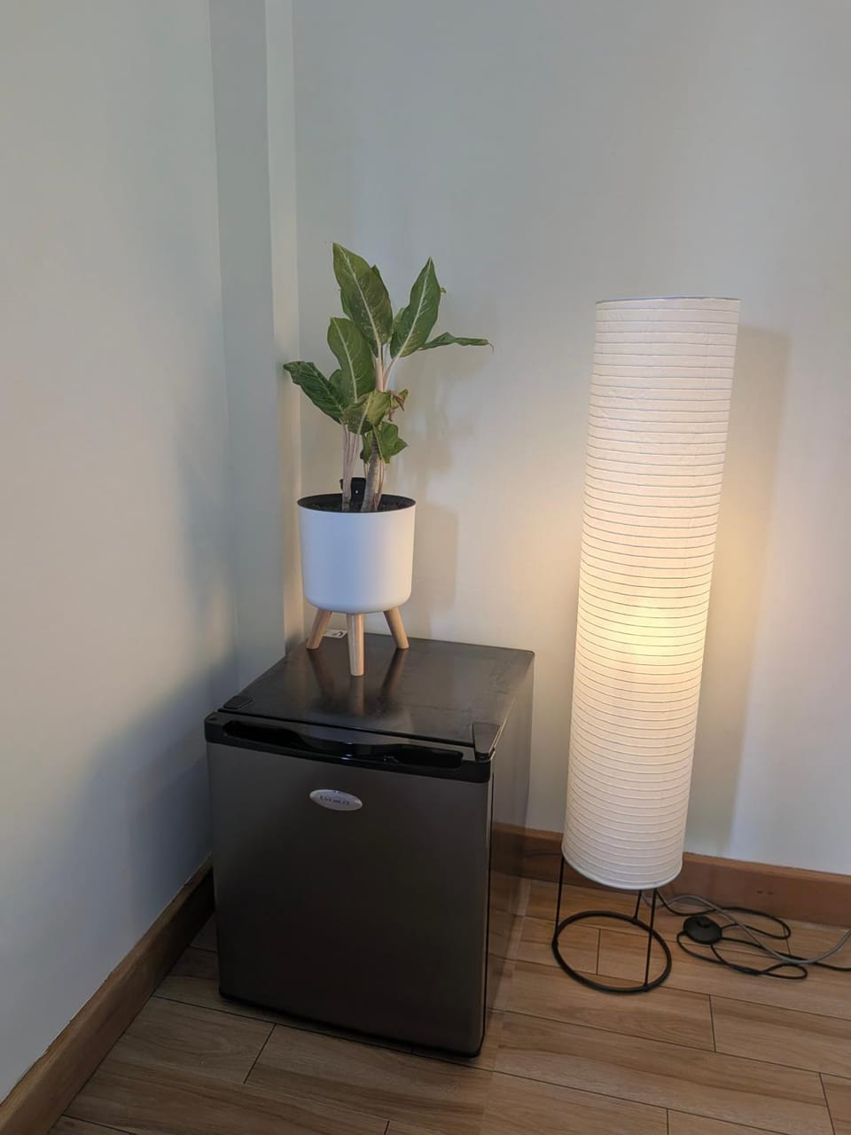Cozy Shell Apartment in General Luna