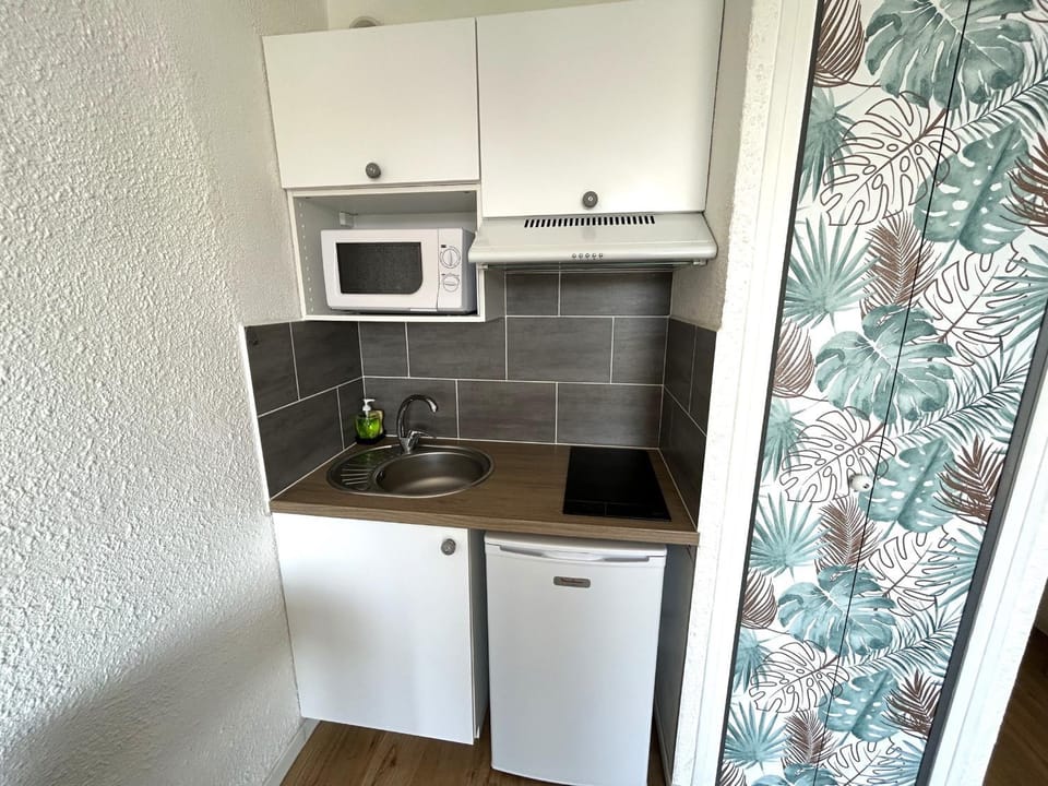 Studio 2 pers à 100m de la plage - FR-1-837-68 Apartment in Argeles-sur-Mer
