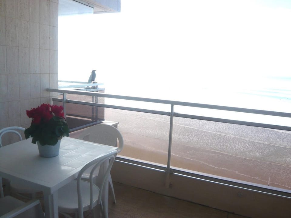 Studio de Standing Face Mer au Sables-d'Olonne Apartment in Les Sables-d'Olonne