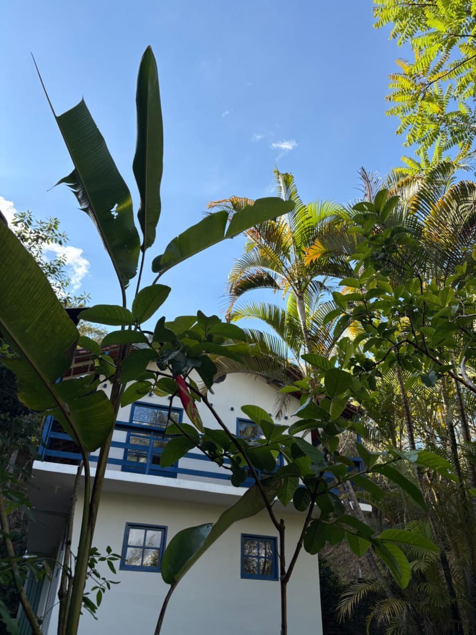 Property building, Day, Garden, Garden view