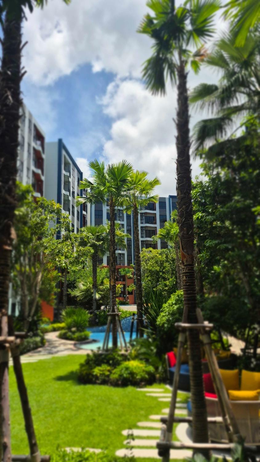 Garden view
