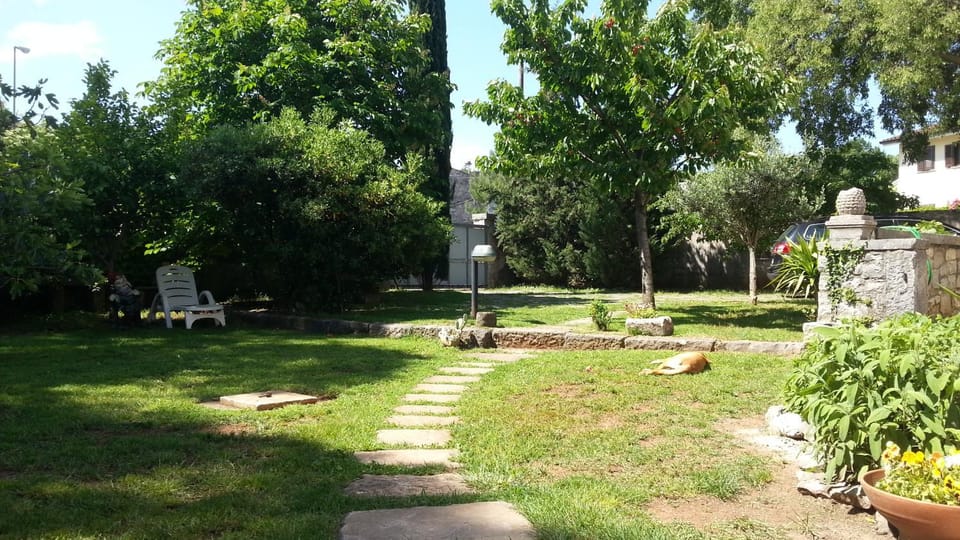 Day, Garden, Animals, Animals, Pets, Pets, Garden view, pet friendly, pet friendly