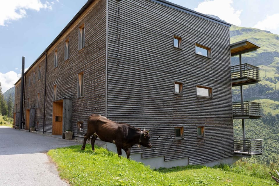 Property building, Summer